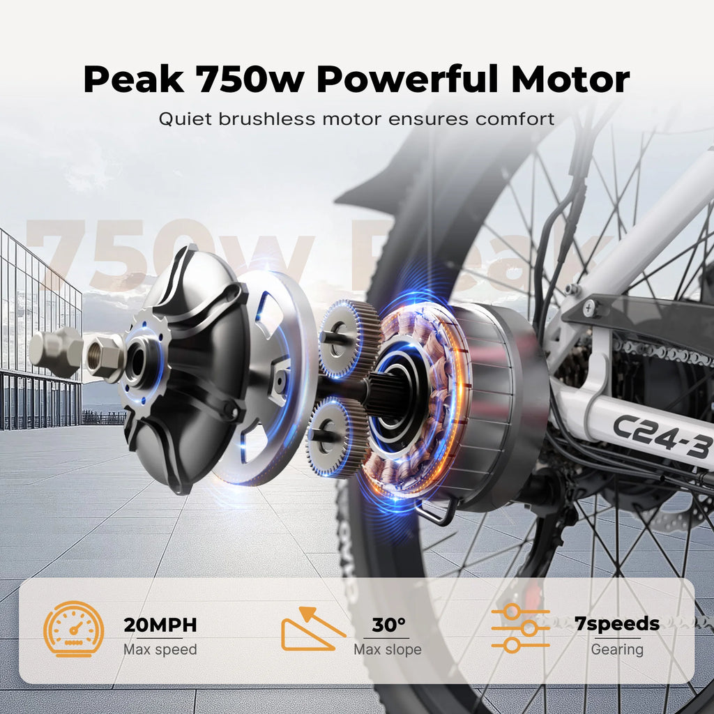 Varun C24-3 Adult City Electric Bike, 24" Tire, 48V 7.8Ah, 750W Peak Power, 20MPH Electric Road Bicycle